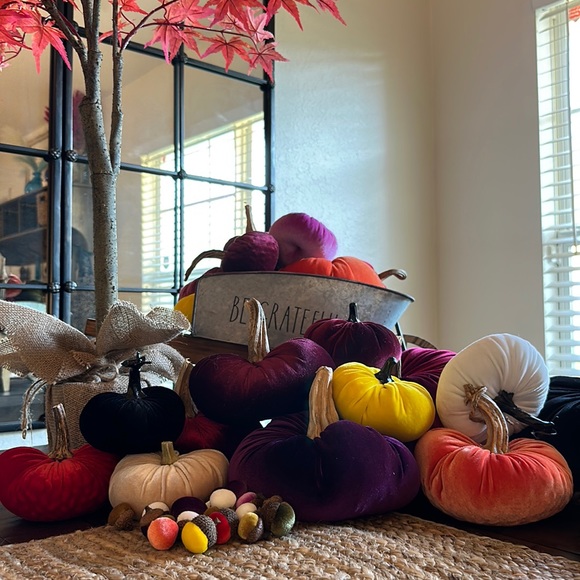 Other - Velvet pumpkins!!